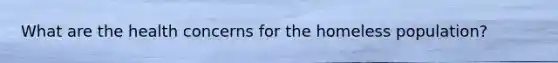 What are the health concerns for the homeless population?