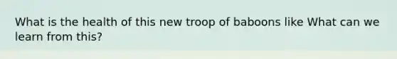 What is the health of this new troop of baboons like What can we learn from this?