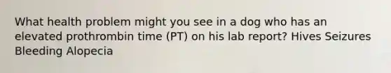 What health problem might you see in a dog who has an elevated prothrombin time (PT) on his lab report? Hives Seizures Bleeding Alopecia