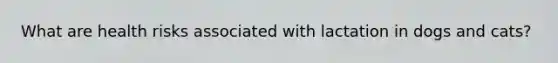 What are health risks associated with lactation in dogs and cats?