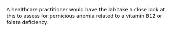 A healthcare practitioner would have the lab take a close look at this to assess for pernicious anemia related to a vitamin B12 or folate deficiency.