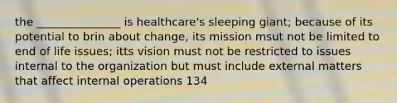 the _______________ is healthcare's sleeping giant; because of its potential to brin about change, its mission msut not be limited to end of life issues; itts vision must not be restricted to issues internal to the organization but must include external matters that affect internal operations 134