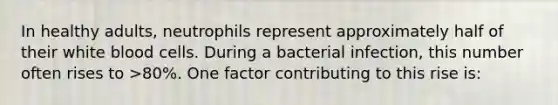 In healthy adults, neutrophils represent approximately half of their white blood cells. During a bacterial infection, this number often rises to >80%. One factor contributing to this rise is: