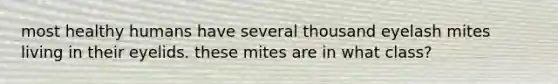 most healthy humans have several thousand eyelash mites living in their eyelids. these mites are in what class?