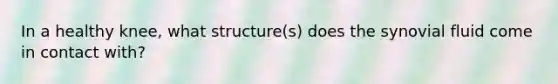 In a healthy knee, what structure(s) does the synovial fluid come in contact with?