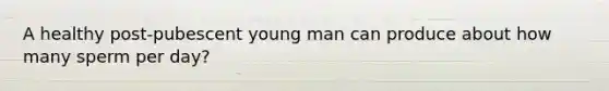 A healthy post-pubescent young man can produce about how many sperm per day?