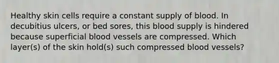 Healthy skin cells require a constant supply of blood. In decubitius ulcers, or bed sores, this blood supply is hindered because superficial blood vessels are compressed. Which layer(s) of the skin hold(s) such compressed blood vessels?