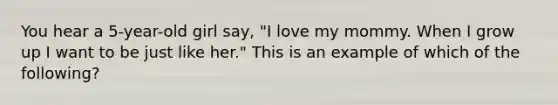 You hear a 5-year-old girl say, "I love my mommy. When I grow up I want to be just like her." This is an example of which of the following?