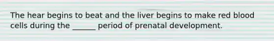 The hear begins to beat and the liver begins to make red blood cells during the ______ period of prenatal development.