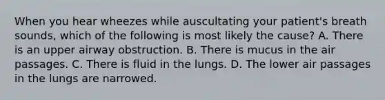 When you hear wheezes while auscultating your patient's breath sounds, which of the following is most likely the cause? A. There is an upper airway obstruction. B. There is mucus in the air passages. C. There is fluid in the lungs. D. The lower air passages in the lungs are narrowed.