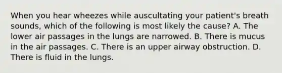 When you hear wheezes while auscultating your​ patient's breath​ sounds, which of the following is most likely the​ cause? A. The lower air passages in the lungs are narrowed. B. There is mucus in the air passages. C. There is an upper airway obstruction. D. There is fluid in the lungs.