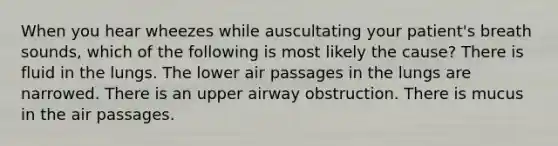 When you hear wheezes while auscultating your patient's breath sounds, which of the following is most likely the cause? There is fluid in the lungs. The lower air passages in the lungs are narrowed. There is an upper airway obstruction. There is mucus in the air passages.