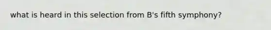 what is heard in this selection from B's fifth symphony?