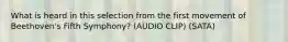 What is heard in this selection from the first movement of Beethoven's Fifth Symphony? (AUDIO CLIP) (SATA)