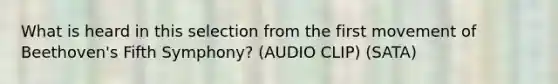 What is heard in this selection from the first movement of Beethoven's Fifth Symphony? (AUDIO CLIP) (SATA)