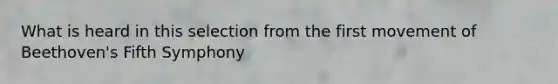 What is heard in this selection from the first movement of Beethoven's Fifth Symphony