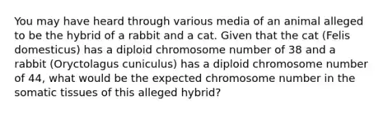 You may have heard through various media of an animal alleged to be the hybrid of a rabbit and a cat. Given that the cat (Felis domesticus) has a diploid chromosome number of 38 and a rabbit (Oryctolagus cuniculus) has a diploid chromosome number of 44, what would be the expected chromosome number in the somatic tissues of this alleged hybrid?