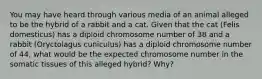 You may have heard through various media of an animal alleged to be the hybrid of a rabbit and a cat. Given that the cat (Felis domesticus) has a diploid chromosome number of 38 and a rabbit (Oryctolagus cuniculus) has a diploid chromosome number of 44, what would be the expected chromosome number in the somatic tissues of this alleged hybrid? Why?