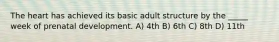 The heart has achieved its basic adult structure by the _____ week of prenatal development. A) 4th B) 6th C) 8th D) 11th