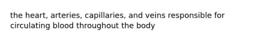 the heart, arteries, capillaries, and veins responsible for circulating blood throughout the body