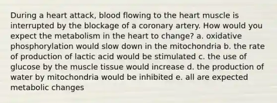 During a heart attack, blood flowing to <a href='https://www.questionai.com/knowledge/kya8ocqc6o-the-heart' class='anchor-knowledge'>the heart</a> muscle is interrupted by the blockage of a coronary artery. How would you expect the metabolism in the heart to change? a. <a href='https://www.questionai.com/knowledge/kFazUb9IwO-oxidative-phosphorylation' class='anchor-knowledge'>oxidative phosphorylation</a> would slow down in the mitochondria b. the rate of production of lactic acid would be stimulated c. the use of glucose by the <a href='https://www.questionai.com/knowledge/kMDq0yZc0j-muscle-tissue' class='anchor-knowledge'>muscle tissue</a> would increase d. the production of water by mitochondria would be inhibited e. all are expected metabolic changes