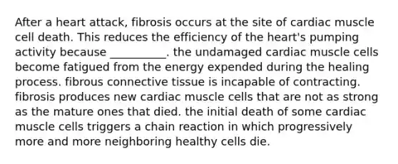 After a heart attack, fibrosis occurs at the site of cardiac muscle cell death. This reduces the efficiency of <a href='https://www.questionai.com/knowledge/kya8ocqc6o-the-heart' class='anchor-knowledge'>the heart</a>'s pumping activity because __________. the undamaged cardiac muscle cells become fatigued from the energy expended during the healing process. fibrous <a href='https://www.questionai.com/knowledge/kYDr0DHyc8-connective-tissue' class='anchor-knowledge'>connective tissue</a> is incapable of contracting. fibrosis produces new cardiac muscle cells that are not as strong as the mature ones that died. the initial death of some cardiac muscle cells triggers a chain reaction in which progressively more and more neighboring healthy cells die.