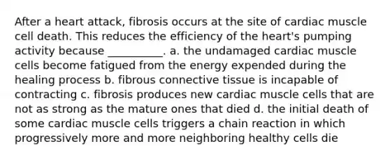 After a heart attack, fibrosis occurs at the site of cardiac muscle cell death. This reduces the efficiency of the heart's pumping activity because __________. a. the undamaged cardiac muscle cells become fatigued from the energy expended during the healing process b. fibrous connective tissue is incapable of contracting c. fibrosis produces new cardiac muscle cells that are not as strong as the mature ones that died d. the initial death of some cardiac muscle cells triggers a chain reaction in which progressively more and more neighboring healthy cells die