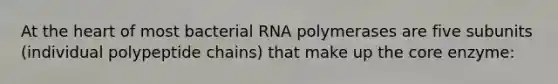 At the heart of most bacterial RNA polymerases are five subunits (individual polypeptide chains) that make up the core enzyme: