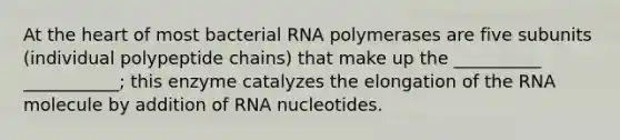 At <a href='https://www.questionai.com/knowledge/kya8ocqc6o-the-heart' class='anchor-knowledge'>the heart</a> of most bacterial RNA polymerases are five subunits (individual polypeptide chains) that make up the __________ ___________; this enzyme catalyzes the elongation of the RNA molecule by addition of RNA nucleotides.