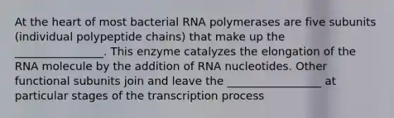 At <a href='https://www.questionai.com/knowledge/kya8ocqc6o-the-heart' class='anchor-knowledge'>the heart</a> of most bacterial RNA polymerases are five subunits (individual polypeptide chains) that make up the ________________. This enzyme catalyzes the elongation of the RNA molecule by the addition of RNA nucleotides. Other functional subunits join and leave the _________________ at particular stages of the transcription process