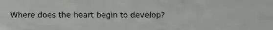 Where does the heart begin to develop?