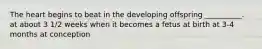The heart begins to beat in the developing offspring __________. at about 3 1/2 weeks when it becomes a fetus at birth at 3-4 months at conception
