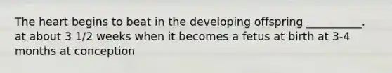 The heart begins to beat in the developing offspring __________. at about 3 1/2 weeks when it becomes a fetus at birth at 3-4 months at conception