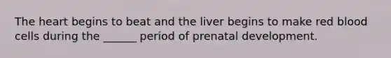 The heart begins to beat and the liver begins to make red blood cells during the ______ period of prenatal development.