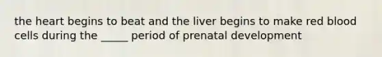 the heart begins to beat and the liver begins to make red blood cells during the _____ period of prenatal development