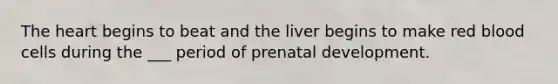 The heart begins to beat and the liver begins to make red blood cells during the ___ period of prenatal development.