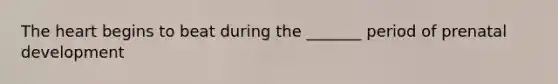 The heart begins to beat during the _______ period of prenatal development
