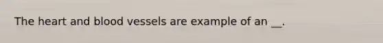 The heart and blood vessels are example of an __.