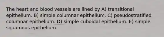 The heart and blood vessels are lined by A) transitional epithelium. B) simple columnar epithelium. C) pseudostratified columnar epithelium. D) simple cuboidal epithelium. E) simple squamous epithelium.