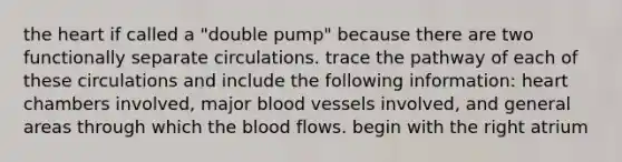 the heart if called a "double pump" because there are two functionally separate circulations. trace the pathway of each of these circulations and include the following information: heart chambers involved, major blood vessels involved, and general areas through which the blood flows. begin with the right atrium