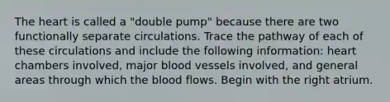 The heart is called a "double pump" because there are two functionally separate circulations. Trace the pathway of each of these circulations and include the following information: heart chambers involved, major blood vessels involved, and general areas through which the blood flows. Begin with the right atrium.