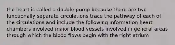 the heart is called a double-pump because there are two functionally separate circulations trace the pathway of each of the circulations and include the following information heart chambers involved major blood vessels involved in general areas through which the blood flows begin with the right atrium