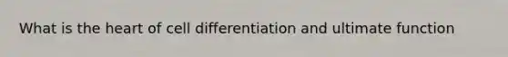 What is the heart of cell differentiation and ultimate function