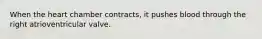 When the heart chamber contracts, it pushes blood through the right atrioventricular valve.