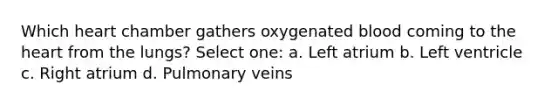 Which heart chamber gathers oxygenated blood coming to the heart from the lungs? Select one: a. Left atrium b. Left ventricle c. Right atrium d. Pulmonary veins