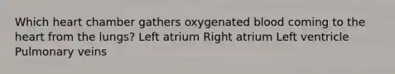 Which heart chamber gathers oxygenated blood coming to the heart from the lungs? Left atrium Right atrium Left ventricle Pulmonary veins