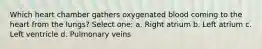 Which heart chamber gathers oxygenated blood coming to the heart from the lungs? Select one: a. Right atrium b. Left atrium c. Left ventricle d. Pulmonary veins