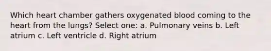 Which heart chamber gathers oxygenated blood coming to the heart from the lungs? Select one: a. Pulmonary veins b. Left atrium c. Left ventricle d. Right atrium