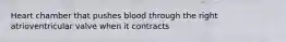 Heart chamber that pushes blood through the right atrioventricular valve when it contracts