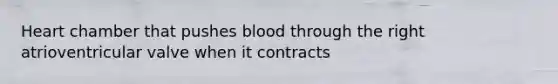 Heart chamber that pushes blood through the right atrioventricular valve when it contracts